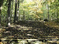 Park Leśny Arkoński