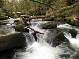 Golitha Falls