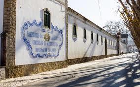 Regional de Colares Winery