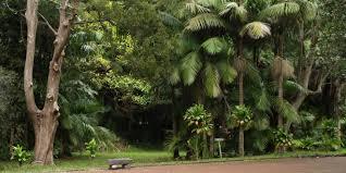 Jardim Botânico José do Canto