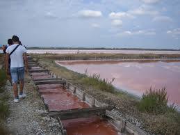 Parco della Salina di Cervia