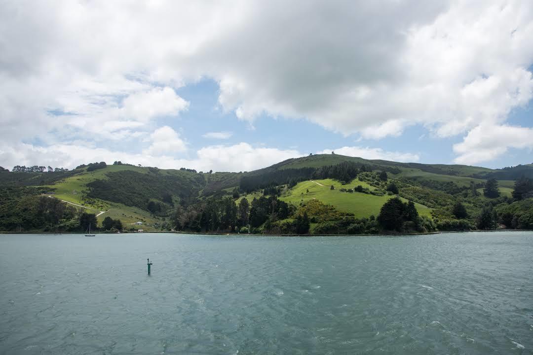 Otago Peninsula