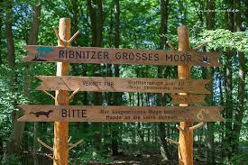 Ribnitzer Großes Moor