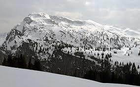 Seehore