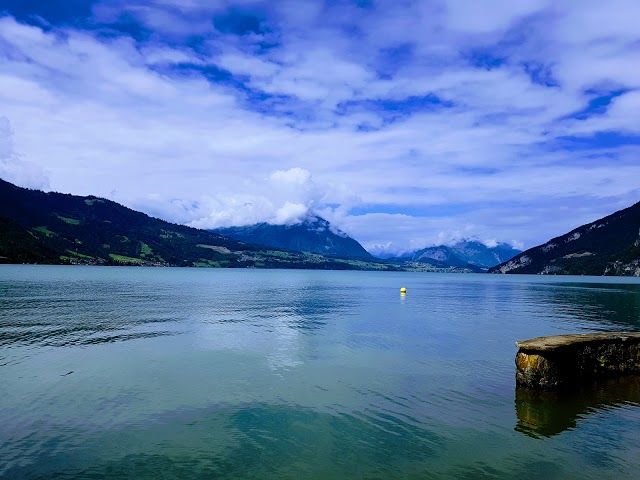 Weissenau Nature Reserve