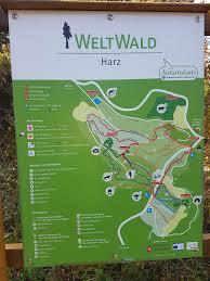 Weltwald Bad Grund