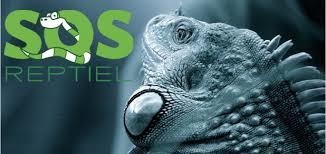 sos Reptiel
