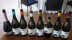 Azienda Agricola San Salvatore