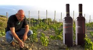 Viticoltori De Conciliis S.S