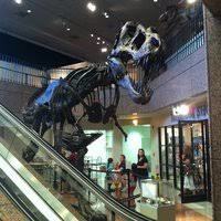 Pink Palace Museum and Planetarium