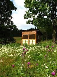 Bienennaturpfad