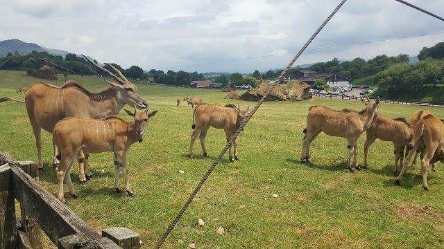 Cabarceno Natural Park
