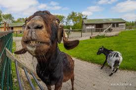 St Peter Ording Westkusten Park