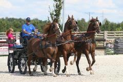 KJ Zbyszko - klub jeździecki