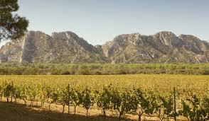 Domaine Des Terres Blanches