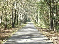 Jacksonville-Baldwin Trail