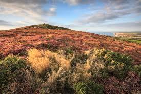 Phare St Agnes Beacon