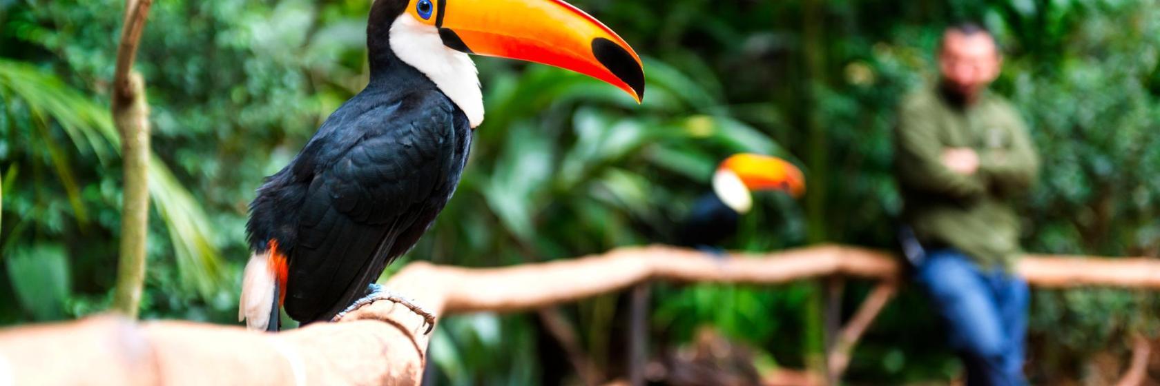Entrada do Parque Nacional do Iguaçu