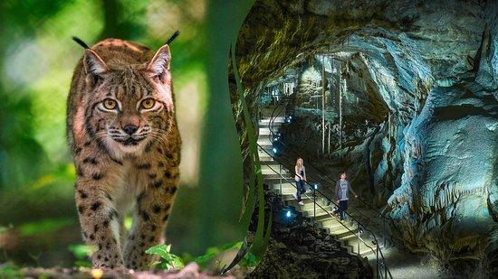 Höhle von Han-sur-Lesse