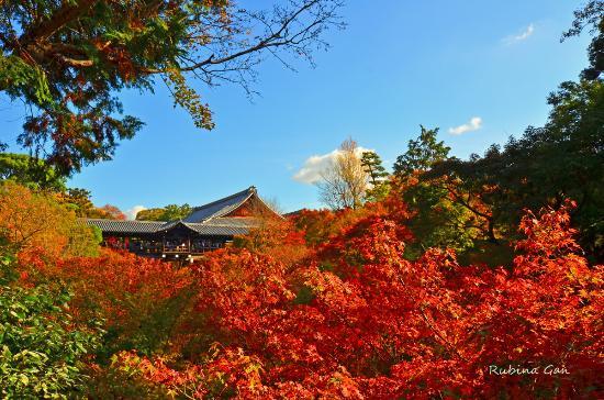 Temple Tōfuku-ji