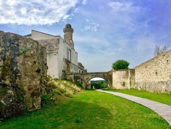 Musée de la Préhistoire