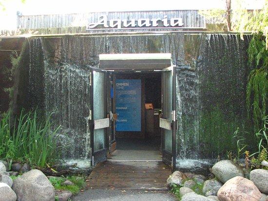Aquaria