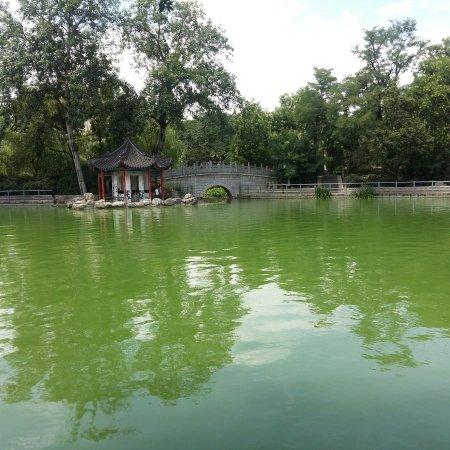 Linhu Park