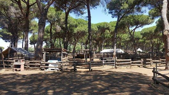 La Fattoria degli animali