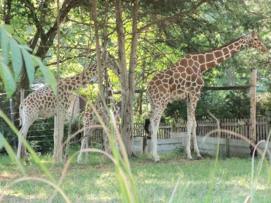 Topeka Zoological Park