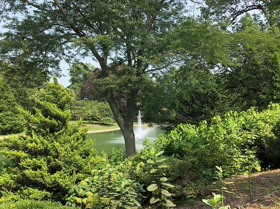 Westerly Library & Wilcox Park