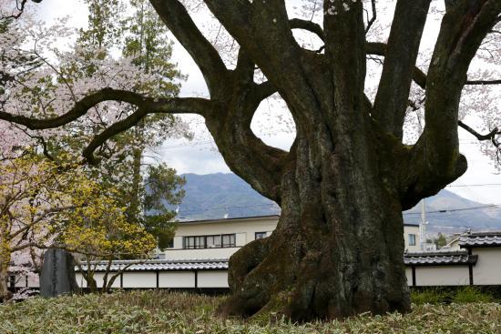 Iida City Museum of Art