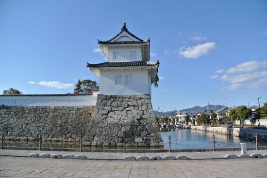 Ruïnes van het kasteel van Ako