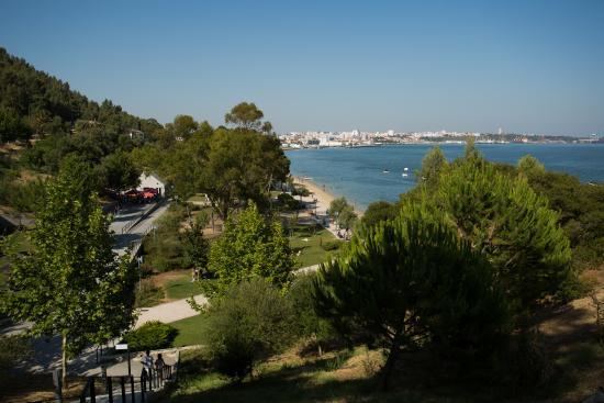 Parque Urbano de Albarquel