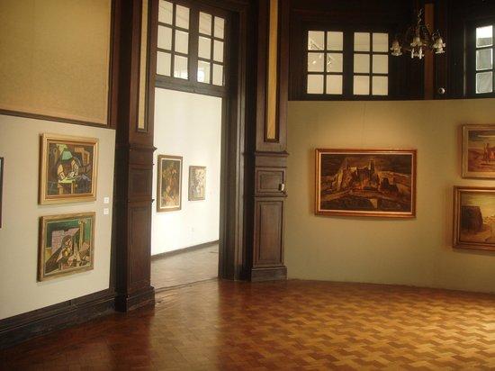 Museo Municipal de Bellas Artes Dr Genaro Perez
