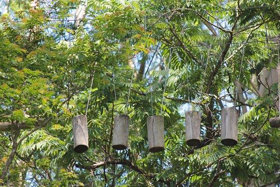 Parque Dr. Otavio de Moura Andrade