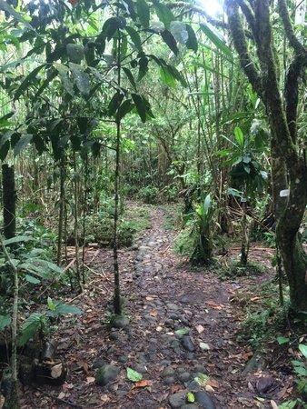 Parque Etnobotánico Omaere