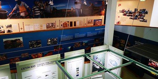 Museu do Mar e da Terra da Carrapateira