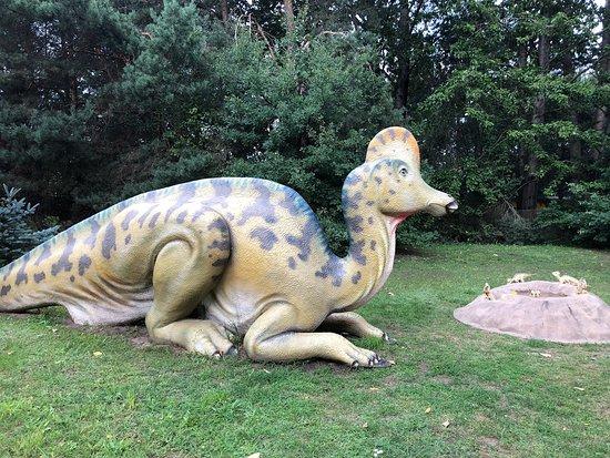 Jurajski Park Dinozaurów Muzeum Dziejów Ziemi