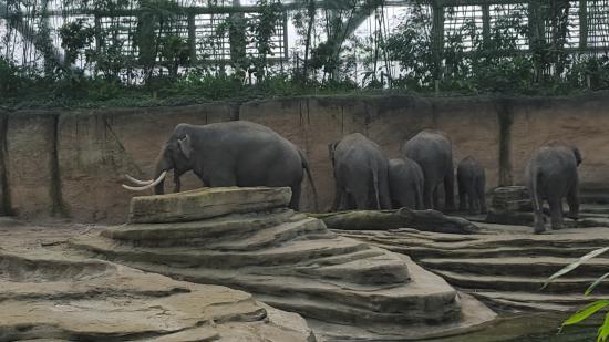 WILDLANDS Adventure Zoo Emmen