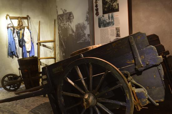 Diffused Museum of Wine