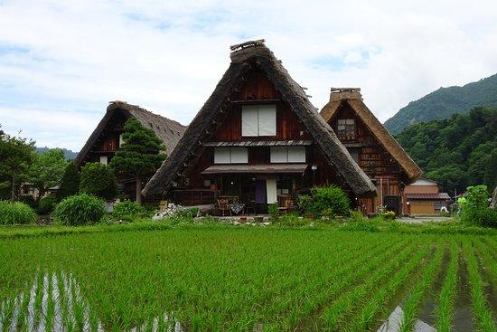 Shirakawago