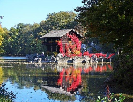 Biotop Wildpark Anholter Schweiz