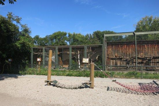 Tiergarten Delitzsch