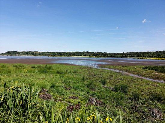 Réserve Naturelle du Marais d'Orx