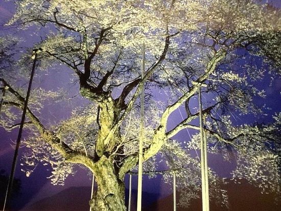 MIBORO Dam Side Park MIBORO Electricity Museum