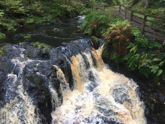 Glenariff Forest Park Caravan Park