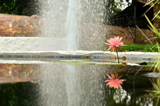 Jardin Botanico del Quindio