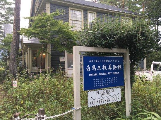 Hakuba Saegusa Art Museum