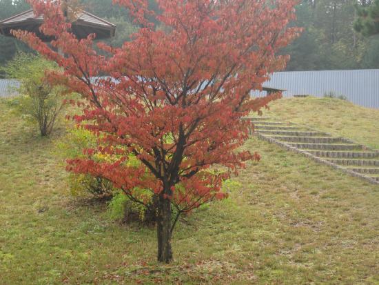 Nomi City Kutaniyaki Museum