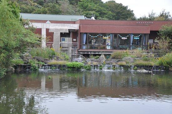 Mizumoto Kawasemi No Yu